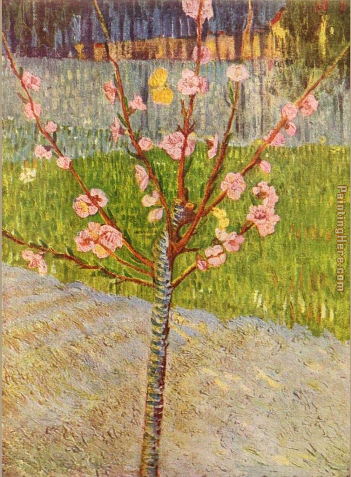 Peach Tree in Blossom painting - Vincent van Gogh Peach Tree in Blossom art painting